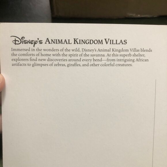 New Oversized Disney’s Animal Kingdom Villas Postcard, Vacation Club; Zebras - Picture 8 of 11